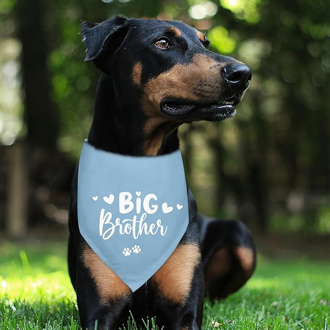 Big Brother Dogs Bandana Baby Announcement Blue Dog Bandana Pregnancy Announcement Photo Prop Pet Scarf Accessories for Pet Dog Lovers Gifts