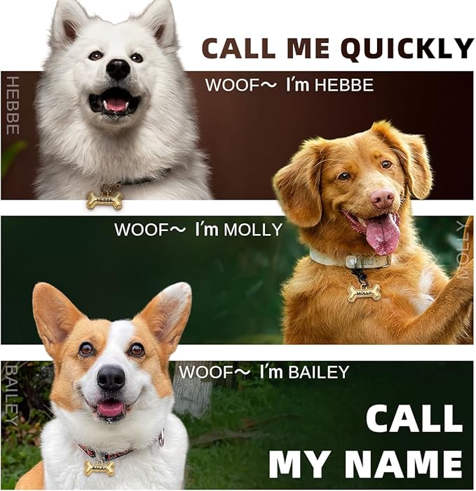 Dogs Tag Stylish Personalized Double Sided Deep Engraved Cat & Dog Tags Engraved for Pets Bone Balloon Shape Brass