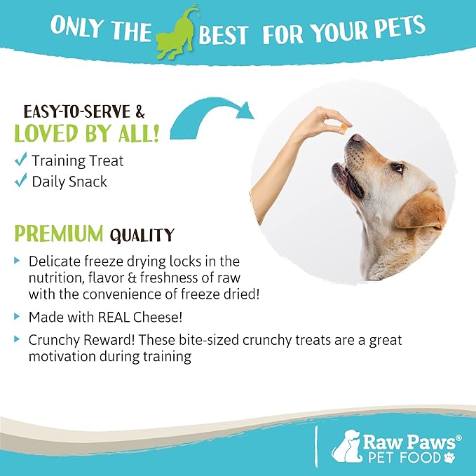 Raw Paws Freeze Dried Cheddar Cheese Treats for Dogs, 3-oz - Crunchy Dog Puffs Made in USA, Natural Dried Wisconsin Cheddar Bites - 100% Real Cheese Treats