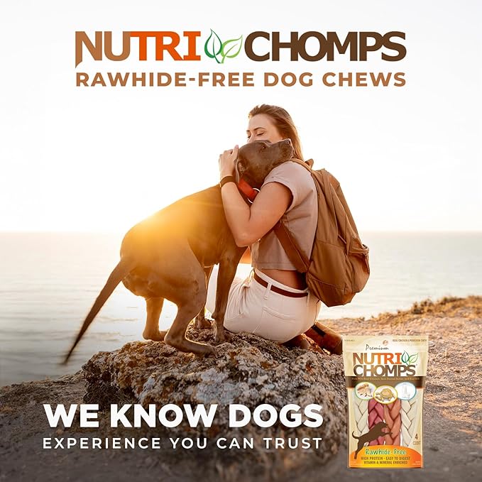 NutriChomps Dog Chews, 6-inch Braids, Easy to Digest, Rawhide-Free Dog Treats, Healthy, Real Chicken, Peanut Butter and Milk flavors, Pack of 4
