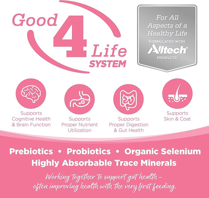 NutriSource Pure Vita Limited Ingredient Grain Free Dry Dog Food, Salmon and Peas, 12LB