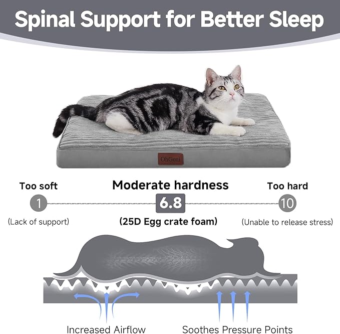 OhGeni Orthopedic Waterproof & Machine Washable Dog Bed for Small Pets, Suitable for Crates, Cat Mat with 25D Egg Crate Foam, Non-Slip Bottom & Removable Cover, 24 Inches(Gray)