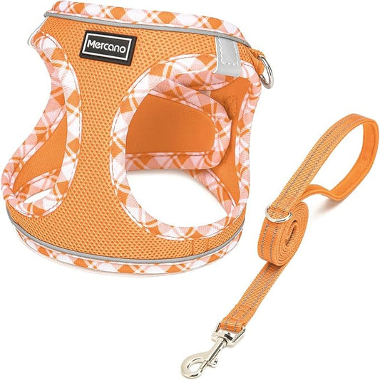 Mercano Soft Mesh Dog Harness and Leash Set, No-Chock Step-in Reflective Breathable Lightweight Easy Walk Vest Harnesses with Safety Buckle for Small Dogs, Cats (Orange, M)