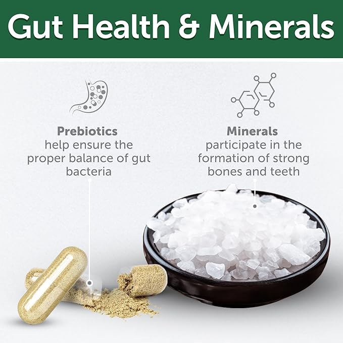 Nature's Protection Wet Dog Food Pouches for Small & Large Breed - High Protein, 24-Pack Soft Dog Food Toppers for Adult Light Coated Dogs (Superior Care - Tuna Fish, 2.46-oz)