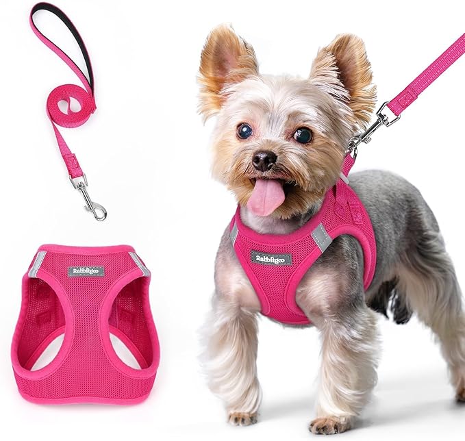 rabbitgoo Dog Harness Small Sized and Leash Set, Step in Soft Light Puppy Vest, Breathable Mesh Pet Harness, Reflective for Safe Easy Walking, Rose Red XS