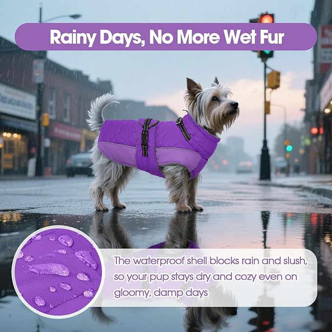 QBLEEV Warm Dog Jacket - Reflective, Adjustable Winter Coat with Turtleneck for Cold Weather, Waterproof Fleece Snowsuit for Small, Medium, Large Dogs