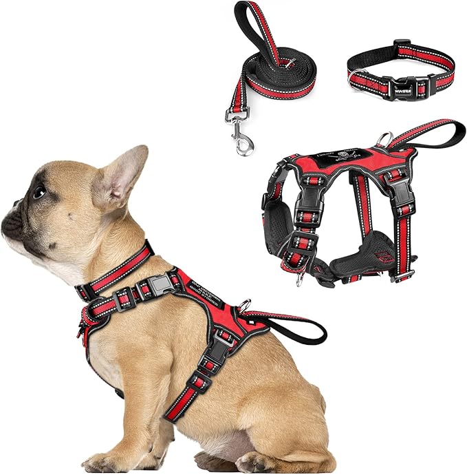 WINSEE Pet Harness Collar and Leash Set, All-in-one Reflective Dog Harness No Pull with Adjustable Buckles for Puppies, Small, Medium, Large, and Extra-Large Dogs (Small, Red)