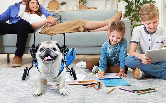pet Wheelchair for Back Legs,Suitable for Back Legs,Cart Doggy Wheelchair for Disabled Legs Walking Mobility,Cat/Dog Hip Brace Leg Support,