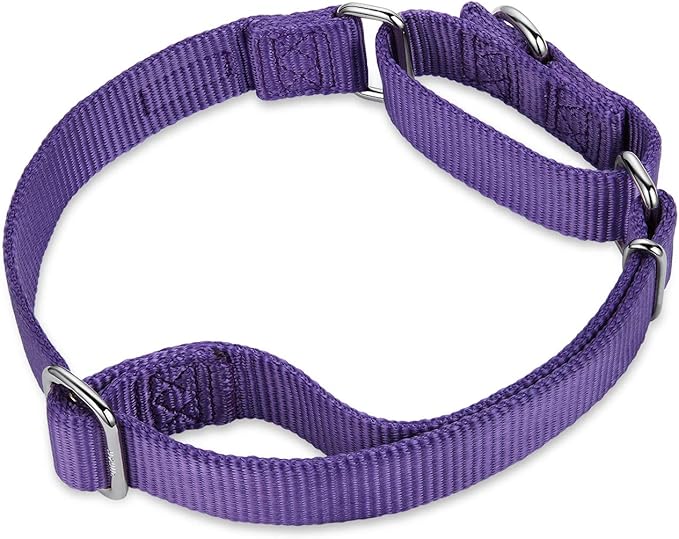 Hyhug Pets Premium Upgraded Heavy Duty Nylon Anti-Escape Martingale Collar for Boy and Girl Dogs Comfy and Safe - Professional Training, Daily Use Walking. (Medium, Ultra Violet)