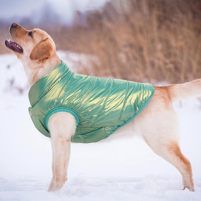 ASENKU Dog Winter Coat - Waterproof Windproof Dog Jacket, Warm Snowproof Doggie Puffer Vest for Cold Weather, Lightweight Snow Coats for Small Medium Large Dogs (Mint Green, M)