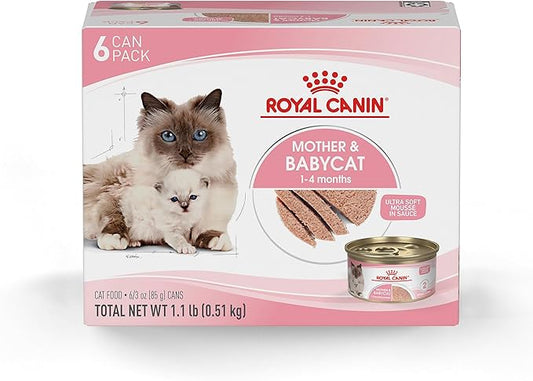 Royal Canin Feline Health Nutrition Mother & Babycat Queen Ultra Soft Mousse in Sauce Cat Food, 3 oz (Pack of 6)
