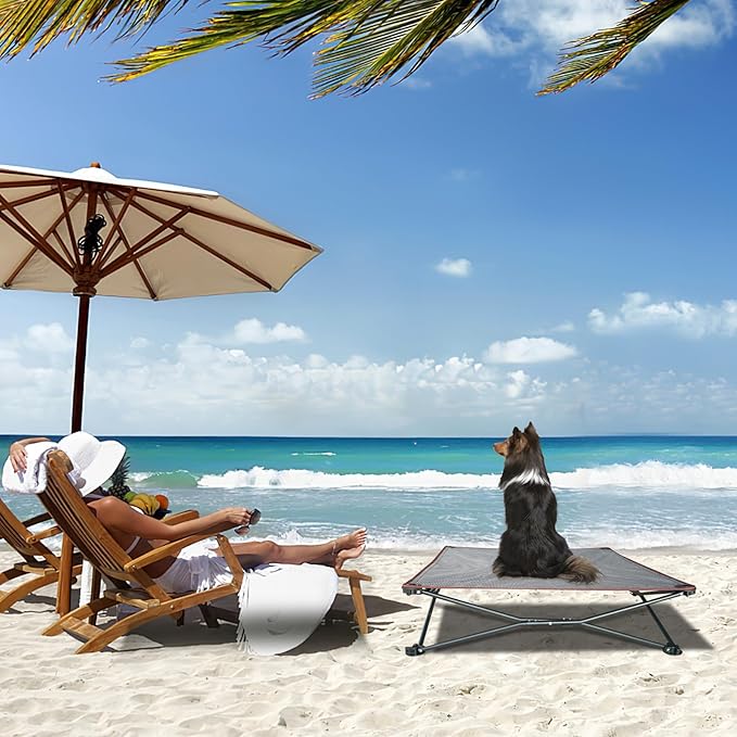 unp Outdoor Lifted Dog Bed - Pop up Dog Cot Bed for Medium Dogs, Washable Plush Cover & Carrying Bag - 26.7 x 26.7 x 10 inch Dog Camping Chair for Lawn (Brown, M)