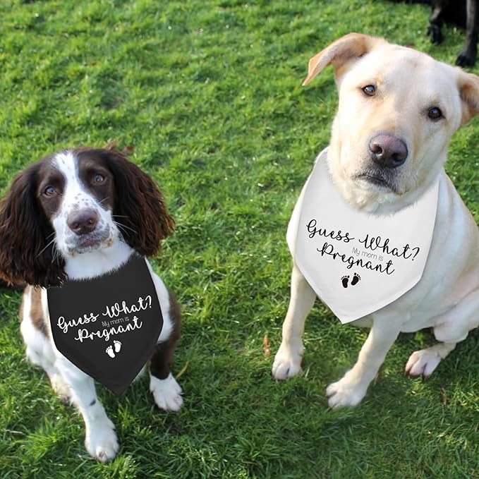 2 Pack Guess What? My Mom is Pregnant Pregnancy Announcement Dogs Bandana Baby Dogs Bandana Dog Pregnancy Announcement Gender Reveal Photo Prop Pet Scarf Accessories for Pet Dog Gifts