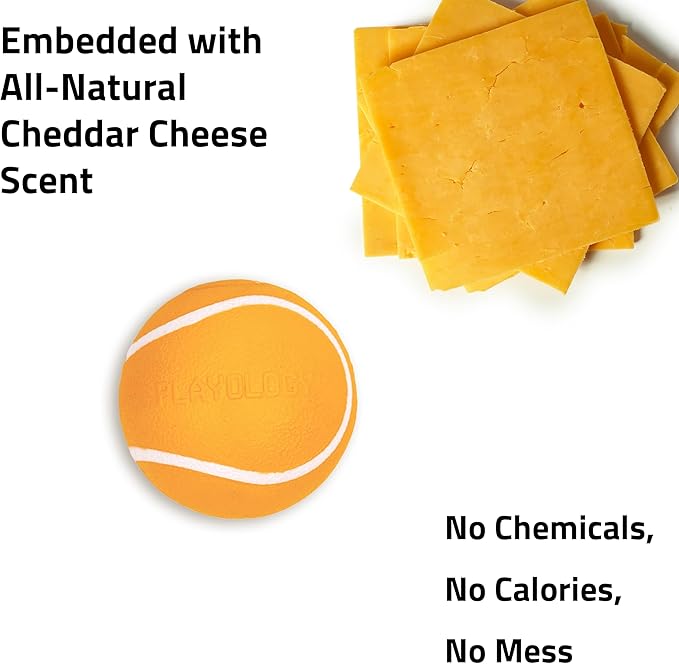 Playology Dog Toys | Squeaky Chew Ball - Bouncy Durable Floating Fetch Ball for Dogs, Value 3-Pack | Small Cheddar Cheese Scented Toy - Easy to Clean and Made from Non Toxic Materials