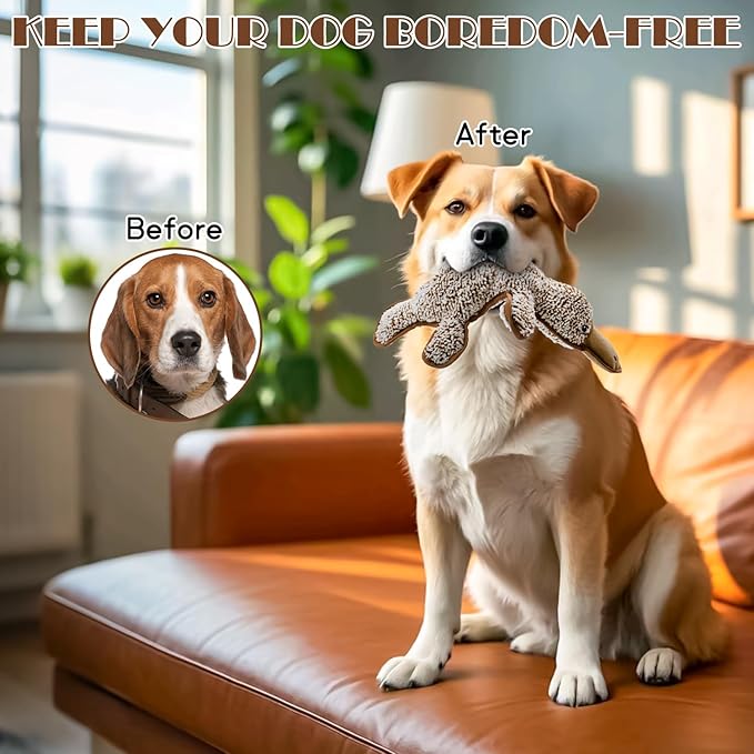 No Stuffing Dog Squeak Toys- Chew Toys for Small Medium Large Breed- Durable Puppy Teething Interactive to Keep Them Busy- Best Birthday Gift(Platypus)