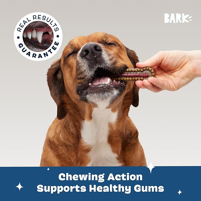 Barkbox Bright Durable Dental Kit, Berry Mint Flavored, 15 Chew Sticks & Toothpaste - Large Breeds