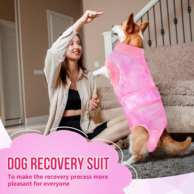 Lukovee Recovery Suit for Dogs, Zipper On Recovery Suit for Female Male Dog, Onesie Abdominal Wounds Cone E-Collar Alternative Prevent Licking Spay Recovery Suit