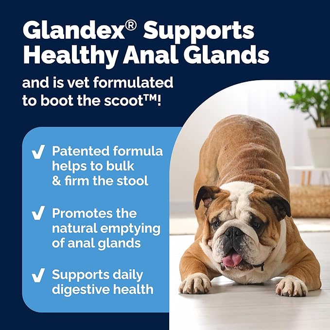 Vetnique Glandex Dog Fiber Supplement Powder for Anal Glands with Pumpkin, Digestive Enzymes & Probiotics - Vet Recommended (Regular or Advanced Strength) - Boot The Scoot (5.5oz Powder, Beef Liver)