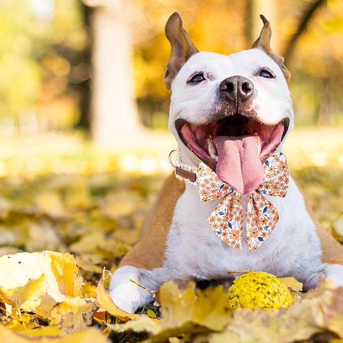 Unique Style Paws Autumn Leaf Collar with Bowtie Blue Leaf Flower Cotton Dog Collars for Small Medium Large Dogs