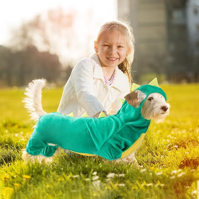 Hotumn Dinosaur Dog Halloween Costume Pet Dino Hoodie for Large Dogs (XXXX-Large, Green)