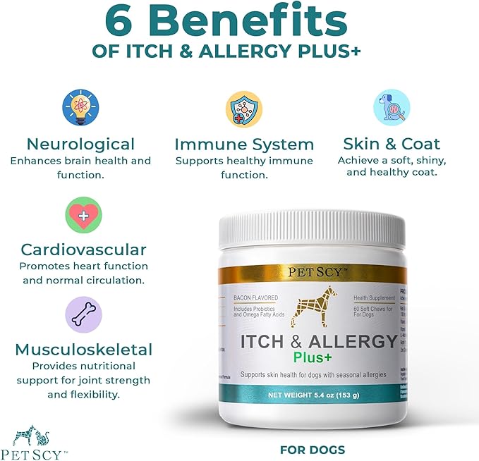 PetScy Itch & Allergy Plus Chews for Dogs Itchy Skin, Ears & Paws | Probiotics, Moringa & Turmeric | for Skin Redness, Hair Loss Gut & Digestive Health - Bacon Flavor - 60 Chews (Pack of 3)