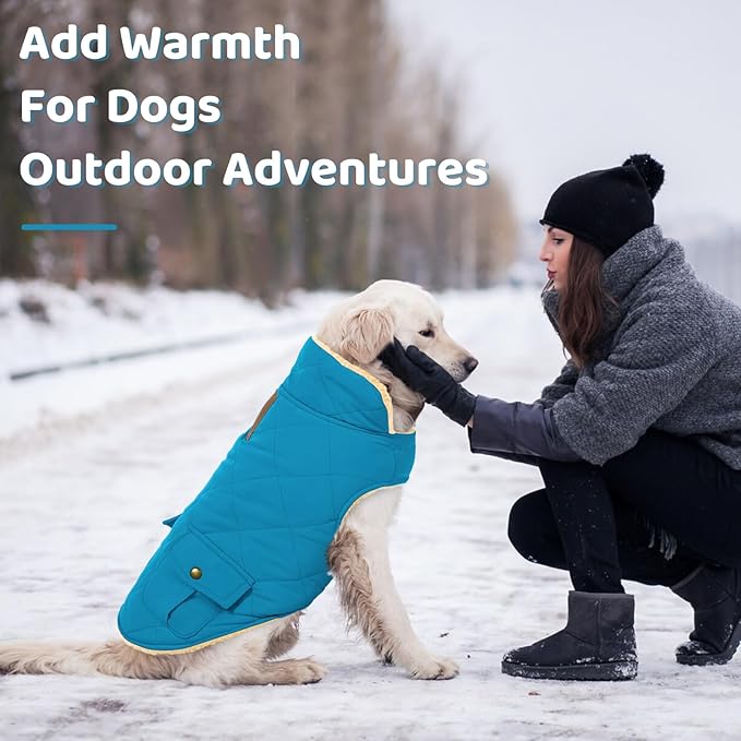Queenmore Dog Winter Coat Warm Puffer Jacket Waterproof Plush Lining Thermal Cold Weather Vest for Small Medium Large Dogs, Windproof Easy On Pet Jacket Blue XS