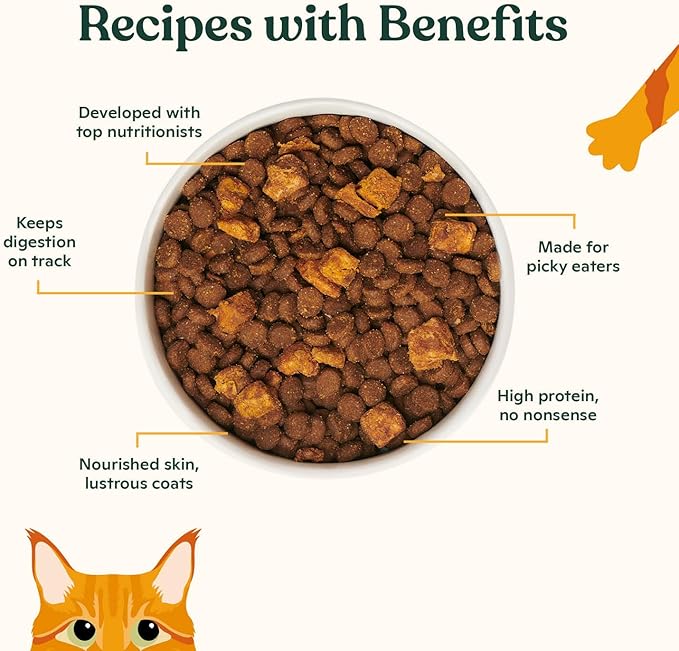 Made by Nacho Dry Cat Kibble 10lb Bag, High Protein Premium Cat Food with Freeze Dried Pieces, Sustainably-Caught Salmon, Whitefish & Pumpkin, Limited Ingredients, Single Bag