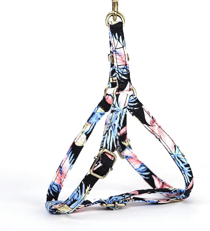 Angie and Allie Organic Cotton Personalized Step in Dog Harness,Custom Dog Halter Vests,Adjustable No Pull Canine Halter Harness for Small Medium Large Dogs