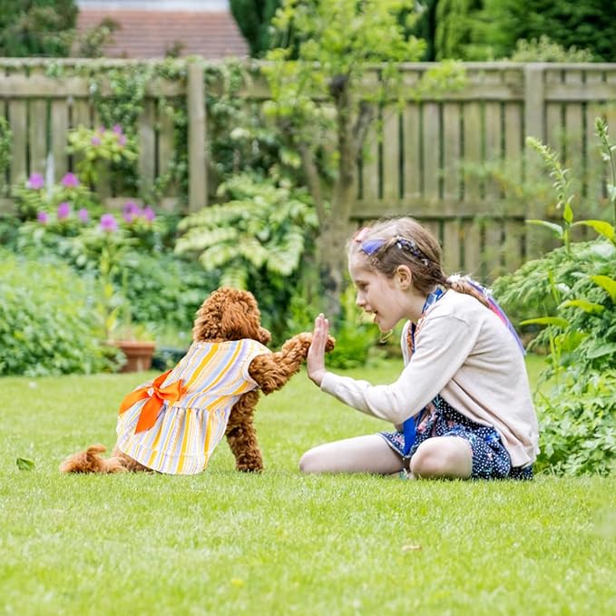 2 Pieces Dog Dress Princess Stripe Pet Dresses for Small Dogs Cute Bowknot Dog Summer Clothes for Dogs Cats Pets Puppy Chihuahua Yorkies