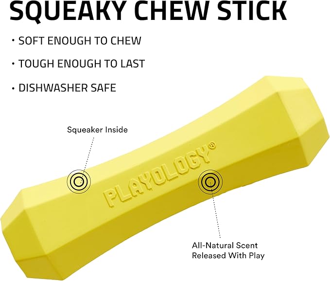 Playology Dog Toys | Durable Squeaky Chew Stick for Dogs | Medium Chicken Scented Toy - Easy to Clean and Made from Non Toxic Materials