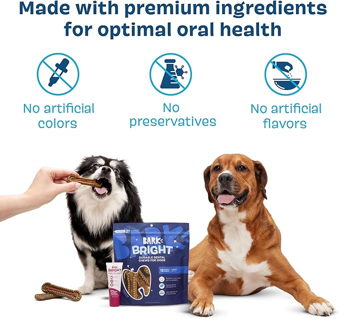 Barkbox Bright Durable Dental Kit, Berry Mint Flavored, 15 Chew Sticks & Toothpaste - Large Breeds