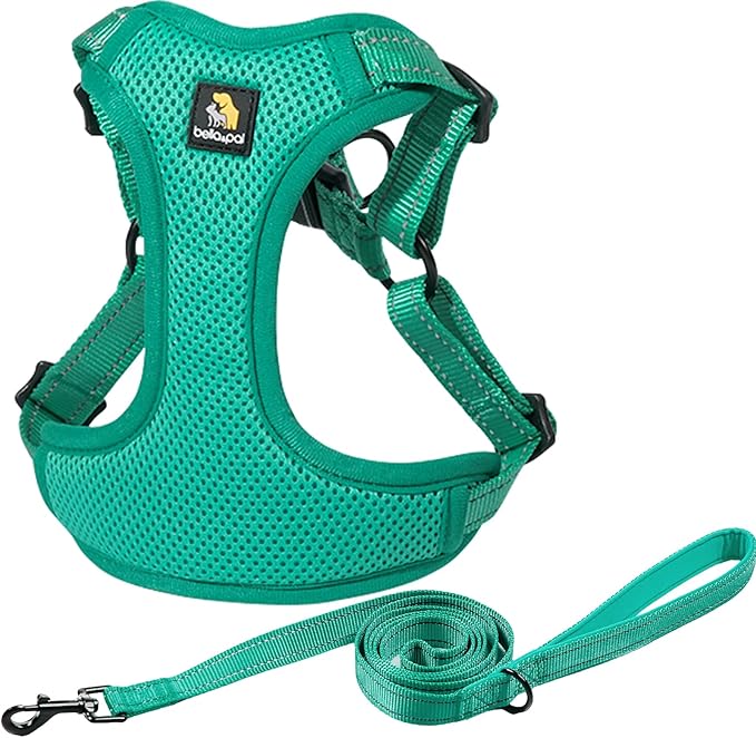 BELLA & PAL Adjustable Step-in Dog Harness, Puppy No-Pull Vest with Leash Set for XS/Small & Medium Dog, Breathable All-Weather Mesh, Reflective Strip, Secure Hook & Loop, Buckle Closure, Dual D-Rings