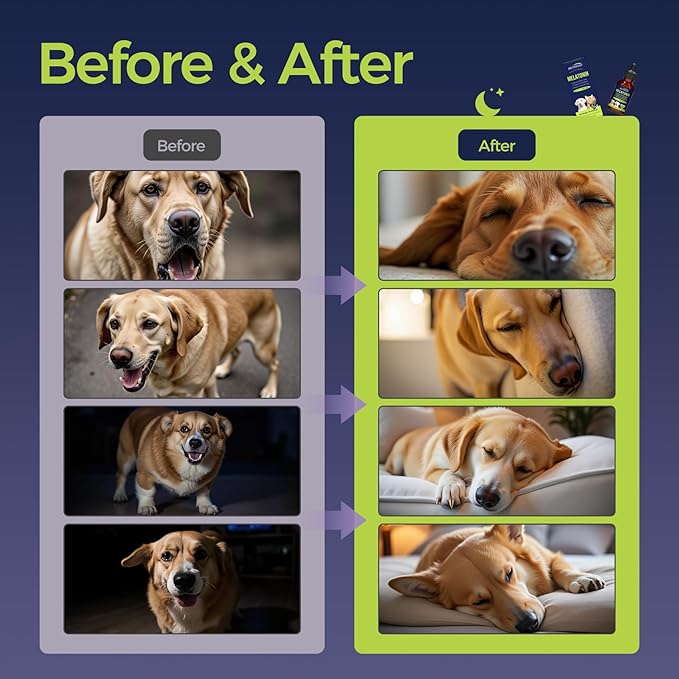 Liquid Melatonin for Dogs Melatonin Drops for Dogs & Cats,Dog Sleep Aid,Calming for Dogs Reduce Cat Stress Restful Sleep Formula with Vitamin B/D/C Bacon Flavor 2 fl oz (60 mL)