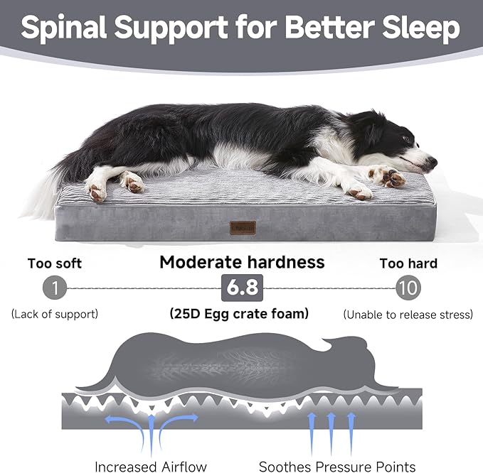 OhGeni Orthopedic Waterproof & Machine Washable Dog Bed for Medium Large Pets, Cat Mat with 25D Egg Crate Foam, Non-Slip Bottom & Removable Cover, 36 Inches(Gray)