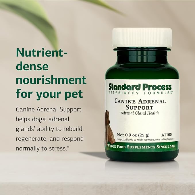 Standard Process Inc. Canine Adrenal Support - Nutritional Canine Supplement for Liver & Kidney Support - Powder Formula to Aid Dog's Adrenal Glands & Health - 25 g