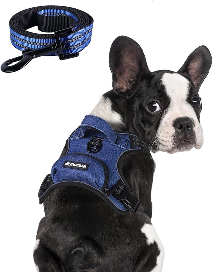 BUMBIN Dog Harness for Large Dogs, No Pull Adjustable No Choke Pet Vest with Dog Leash Fit Smart Reflective Pet Walking Harness for Training Easy Control Soft Handle Denim Blue S
