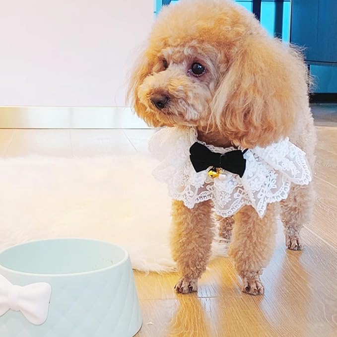 Pet Lace Bib Collar with Bow, Decorative Scarf for Dogs and Cats, Small Size, Comfortable Wear