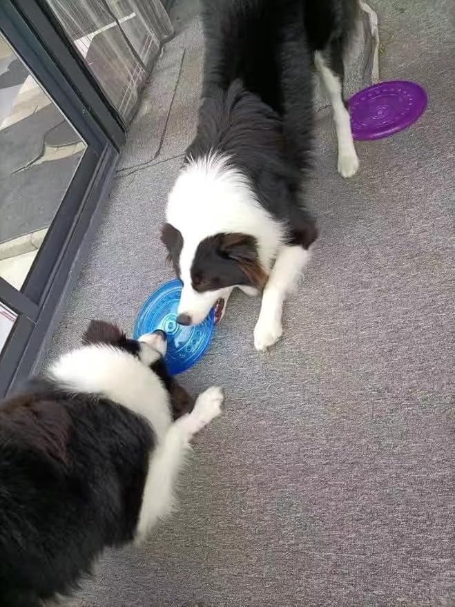 Dog Flying Discs Soft Teeth Cleanning Chew Toys,Rubber Material, Durable, Indestructible,2 Pack,18.5cm,90g,Blue and Purple Colors for Puppies Small Medium Dog Outdoor Training.