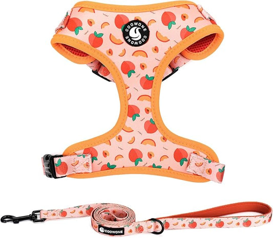 Dog Harness and Leash Set, Adjustable Dog Harness, Dog Leash, No Pull No Choke Puppy Harnesses for Walking Training for Small Medium Pet
