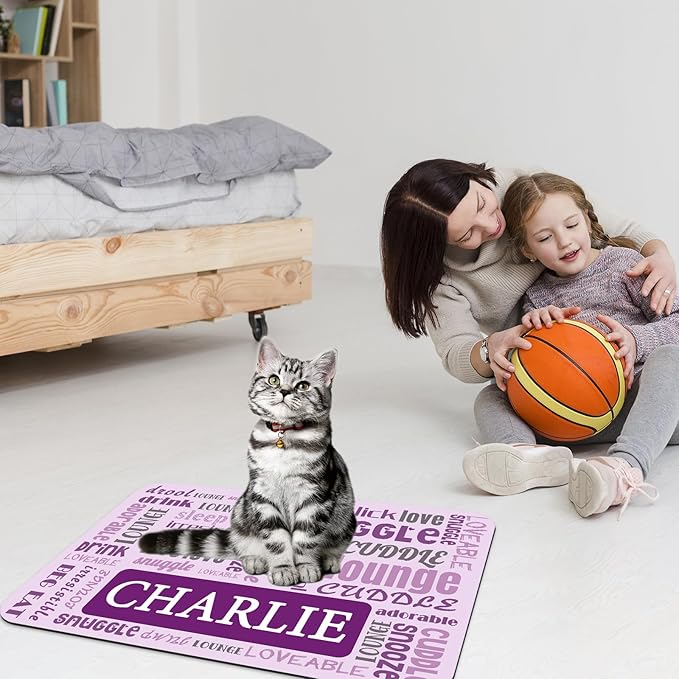 Personalized Dog Cat Food Mat Waterproof Non Slip Pet Bowl Name Mat Absorbent Quick Dry Custom Feeding Mat for Floors