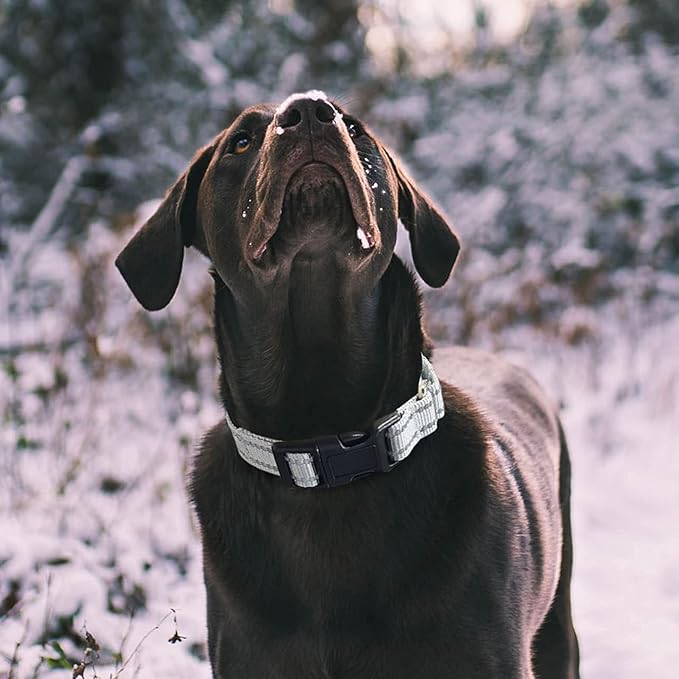 Hikiko Reflective Martingale Dog Collars with Buckle Nylon Adjustable No Slip Training Pet Collar (Medium, Sliver Grey)