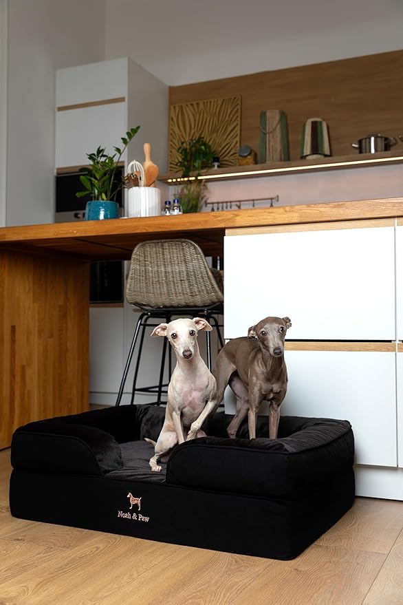 NOAH & PAW Large Dog Bed, 35x25x11 Inch, Orthopedic Dog Beds, Eggshell Memory Foam Infused with Cooling Gel, Inner Cover, Waterproof, Machine Washable (Denim Sofa Collection)
