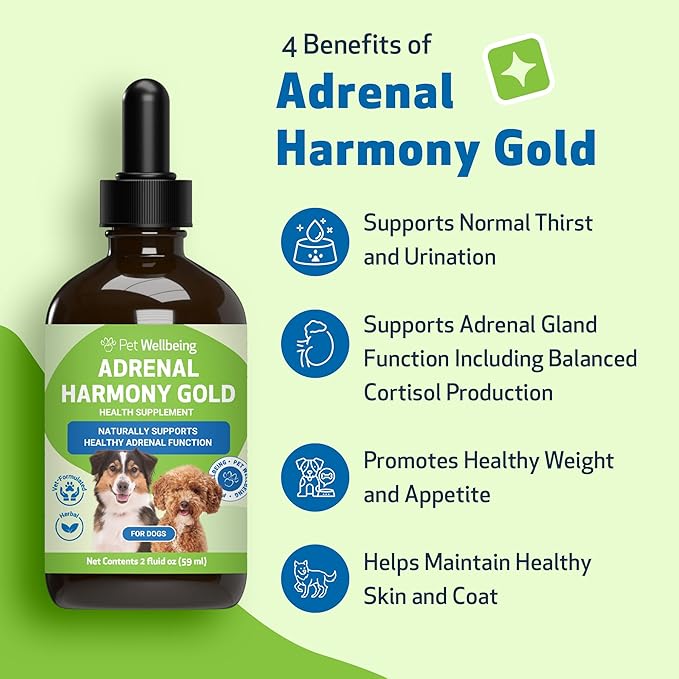 Pet Wellbeing Adrenal Harmony Gold for Dogs - Vet-Formulated - Adrenal Gland Supplement for Dogs, Ashwagandha, Astragalus, Bacopa, Holy Basil - Herbal Supplement – 4 oz (118 ml)