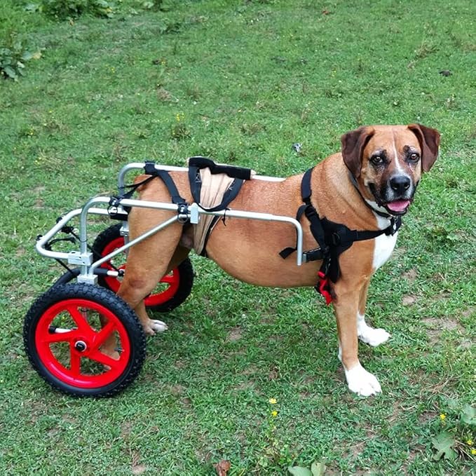 Rear Support Wheelchair 2.0 Large Lightweight Dog Wheelchair for Back Legs