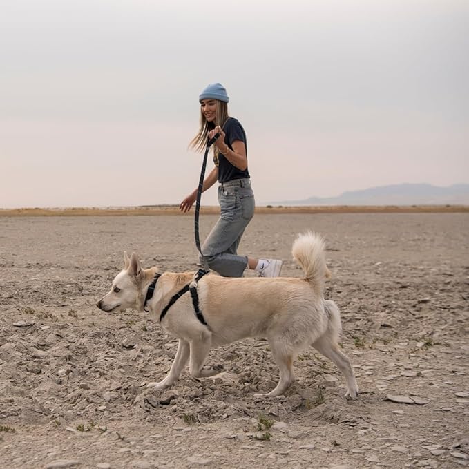 Wolfgang Heavy Duty Adjustable Dog Harness, Pull-Tested to Over 800 lbs for Walking & Training, NightOwl Print, Small