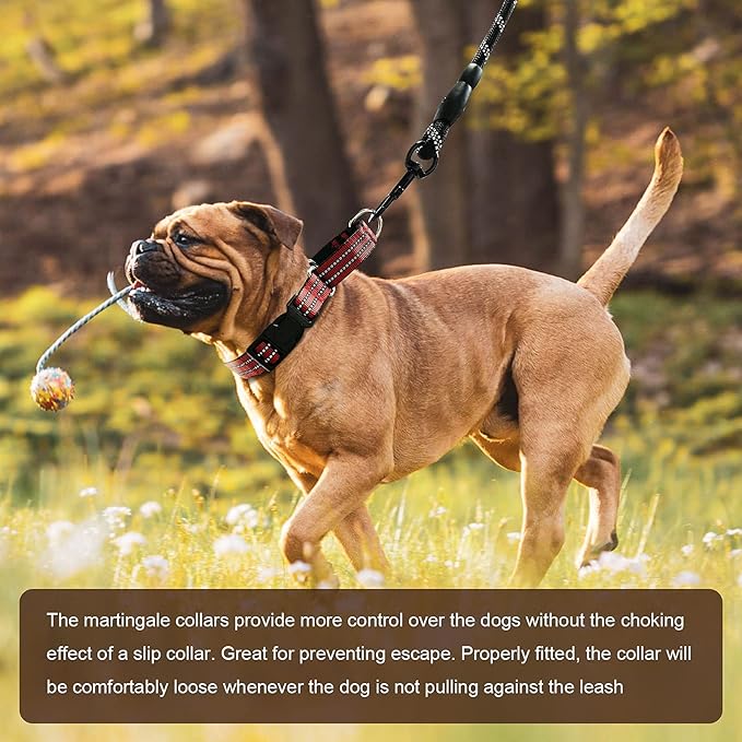 Hikiko Martingale Dog Collars Reflective Nylon Dog Collar with Quick Release Buckle Adjustable Training No Slip Dog Collar (Large, Red)