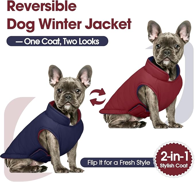 QBLEEV Reversible Dog Winter Coat, Warm Snowproof Dog Puffer Jacket for Large Dogs Cold Weather, Windproof Lightweight Padded Vest Snowsuit, 2-in-1 Adjustable Outdoor Clothes for Boxer, Wine Red, XXL
