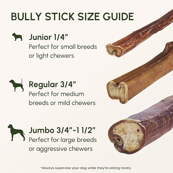 Downtown Pet Supply 6-inch Bully Sticks for Dogs, Pack of 30 - Single Ingredient, Nutrient-Rich and Odor Free Bully Sticks for Dogs - Rawhide Free Dog Chews Long Lasting and Non-Splintering