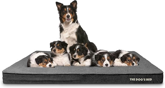 The Dog’s Bed Orthopedic Memory Foam Jumbo Dog Bed, XXXL Grey Plush, Pain Relief for Arthritis, Hip & Elbow Dysplasia, Post Surgery, Lameness, Supportive, Waterproof Washable Cover