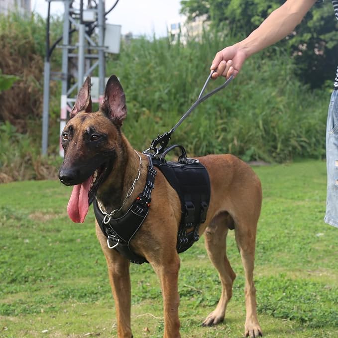 ICEFANG Short Dog Leash 18 Inch Reflective Nylon Traffic Leash with Padded Handle,Heavy Duty Auto Lock Swivel Clip for Medium Large Dogs No Pull Training Walking (Grey, 18 Inch)